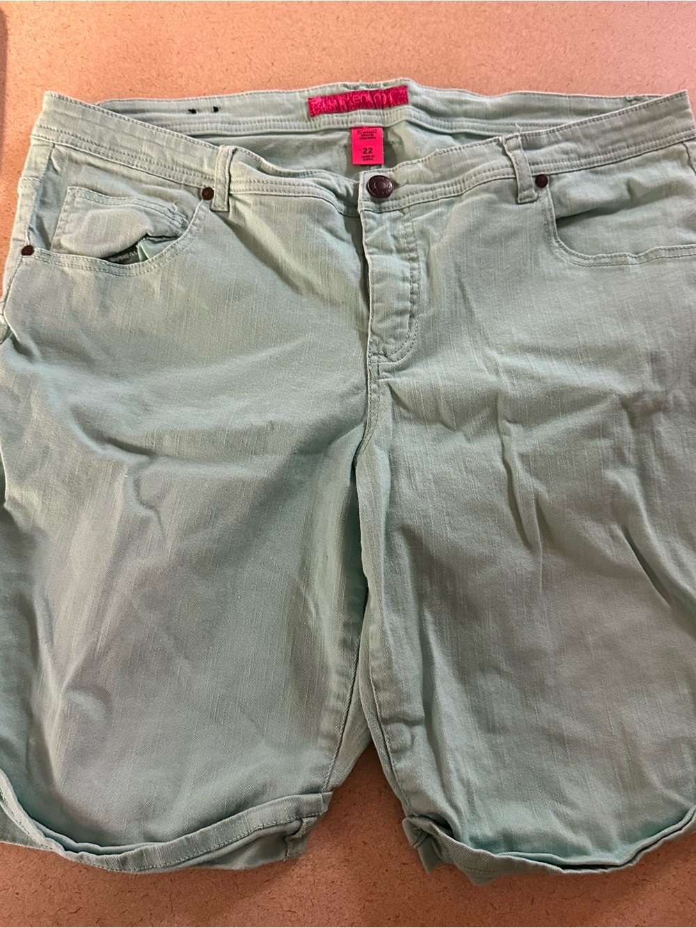 Women’s Size 22 Light Mint Green Denim Shorts